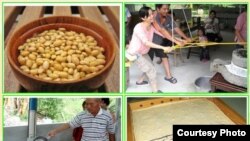 台湾东部地区的有机农业