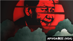 根據非政府組織“保護衛士”的分析，去年一年在習近平主政下中國出現的尋求政治庇護的人數就超過了他的前任胡錦濤主政八年尋求庇護中國人人數之和。