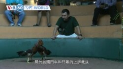 VOA國際60秒(粵語): 2020年2月25日