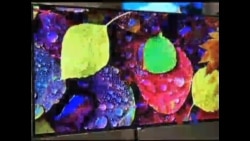 年终报道：高科技新技术