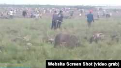 Finfinnee naanoo manni itti diggame