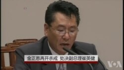 金正恩再开杀戒 处决副总理崔英健