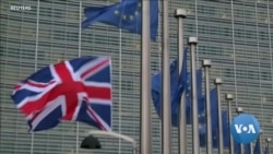 英语视频：英国无协议脱欧影响发展中国家