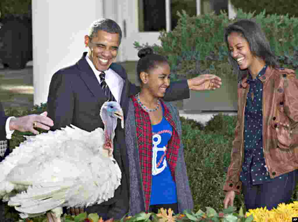 2012年11月21日，奥巴马总统在两个女儿的陪伴下，遵循感恩节传统，在白宫玫瑰园对幸运的火鸡实行了&ldquo;总统大赦&ldquo;。