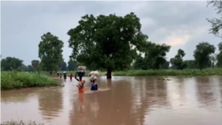 Faayilii - Namoota lolaadhan miidhaman, Sudaan Kibbaa, Fulbaana 29, 2021