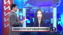 VOA连线：白宫倾向于不在习近平访美前宣布网络制裁