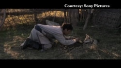 美国万花筒：中国提名《狼图腾》角逐奥斯卡最佳外语片奖