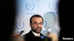 國際原子能機構的伊朗代表納加菲