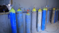 Yunivarsitii Ambootti Warshaan Oksijiinii Oomishu Hojii Eegale