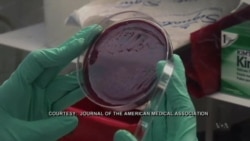 Doctors Fight Bacteria With Bacteria