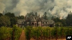 加州圣罗莎一个葡萄酒庄后方的山林大火。（2017年10月14日）