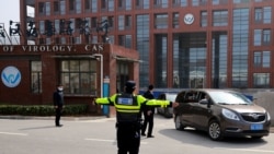 武毒所再成新冠病毒溯源焦點 美國參議院通過法案要求解密情報