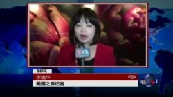 VOA连线: 台湾总统蔡英文抵达洛杉矶