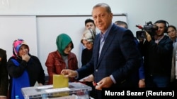 土耳其總統埃爾多安