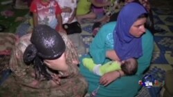 全球难民5100万 为20年来最高