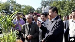 習近平公開露面