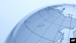 2011全球经济最大风险：群龙无首