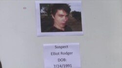 加州枪杀案再掀枪支控制辩论