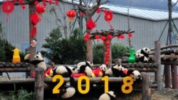 中国宣布成立第一批国家公园 是迈开步伐还是作个样板？