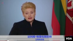 立陶宛總統達利婭格里包斯凱特。