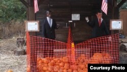 稻草人扮成候选人呼吁民众投票( By Thomas Szymoniak)