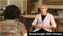 安•考夫林教授接受VOA记者采访