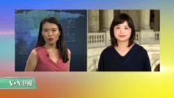 VOA连线：美国国会关注玉林狗肉节