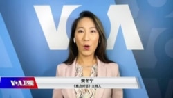 焦点对话：《玻璃心》爆红 “辱华”成为一种流行？