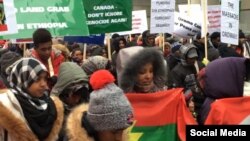 Hiriira Mormii Ottawaa, Kanaadaa