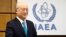 国际原子能机构总干事天野之弥