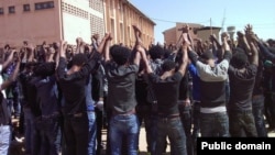 Mormii barattootaa Yunivarsitii Haramaaya 