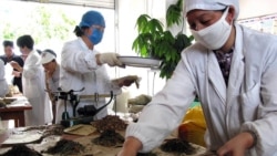 时事大家谈：中药治疗新冠肺炎 传统医学华丽转身？