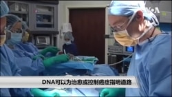DNA可以为治愈或控制癌症指明道路