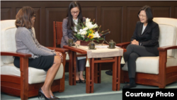 台湾总统蔡英文2019年11月8日接见美国医师会访问团(台湾总统府提供)