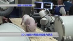 3D X光影片帮助探视体内状况