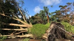 ​Bonbolattiin Ermaa Jedhaniin Yunaytid Isteets Godina Flooridaa Rukkutte