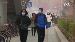 中國武漢肺炎死亡人數升至56