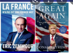 泽穆尔与特朗普撰写的书的书名。