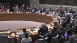 俄罗斯否决联合国有关马航飞机坠毁事件决议