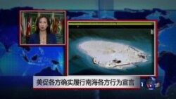 VOA连线：美促各方确实履行南海各方行为宣告