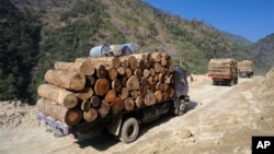 環保組織“野生動植物保護國際”2014年4月1日發布的照片​​顯示，在2011年1月23日緬甸克欽邦北部的工人正在把非法砍伐的木材裝車運往中國。環保組織“野生動植物保護國際”2014年4月1日發布的照片​​顯示，在2011年1月23日緬甸克欽邦北部的工人正在把非法砍伐的木材裝車運往中國。