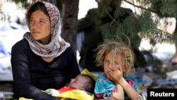 被迫逃往的伊拉克雅茲迪難民