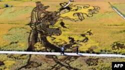 A man uses his mobile phone as he rides a camel along with other commuters along a street amid smoggy condition in New Delhi, India.