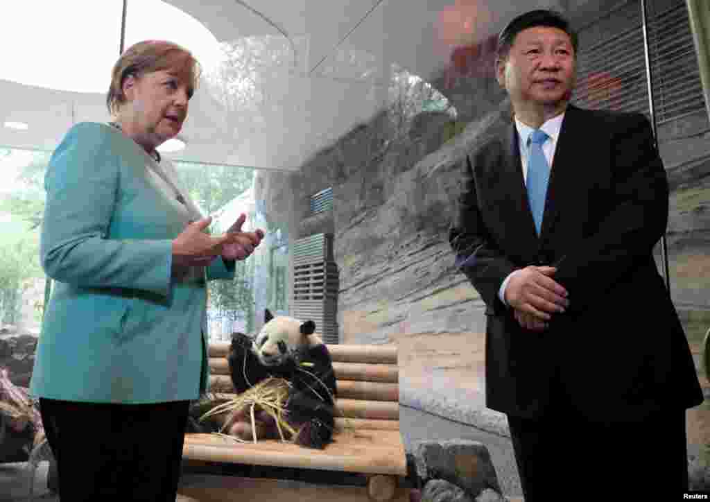 德国总理默克尔（Angela Merkel）和中国国家主席习近平于2017年7月5日在德国柏林动物园出席了中国熊猫&quot;梦梦&quot;和&quot;娇庆&quot;的欢迎仪式。目前在欧洲有大熊猫的国家有奥地利、英国、比利时、法国、德国、荷兰、西班牙和芬兰。