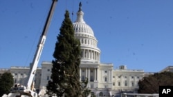 工人们在国会大厦前安置圣诞树