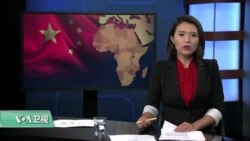 时事看台(林枫)：国会听证：中国对非洲的“新殖民主义”？