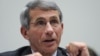 FILE - Dr. Anthony Fauci at the U.S. National Institutes of Health .