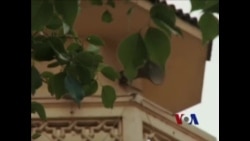 埃及无神论者渴望获得一席之地