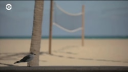 «Все меньше беспечных купальщиков»