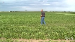 川普：我为美国农民打开了欧洲市场